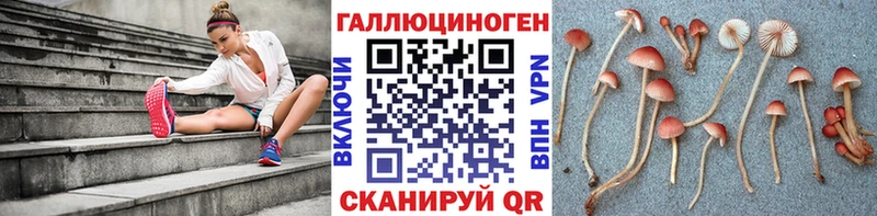 Галлюциногенные грибы GOLDEN TEACHER купить наркотики цена Володарск